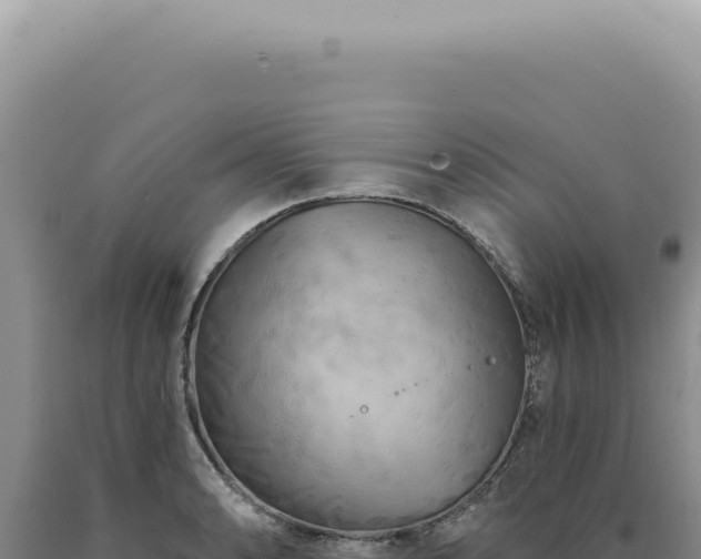 X0000090771086200707271522