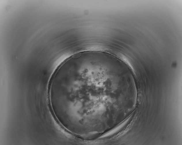 X0000090771087200707271522