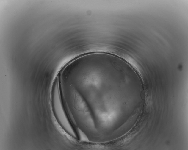 X0000090771088200707271522