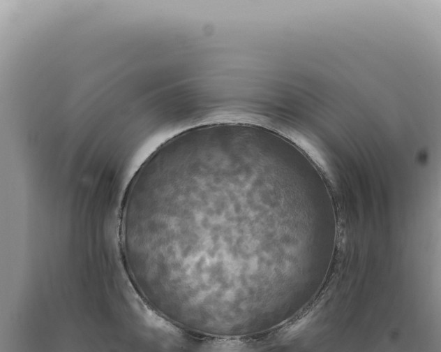 X0000090771094200707271522