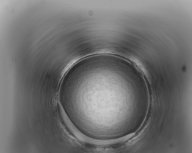 X0000090771097200707271522