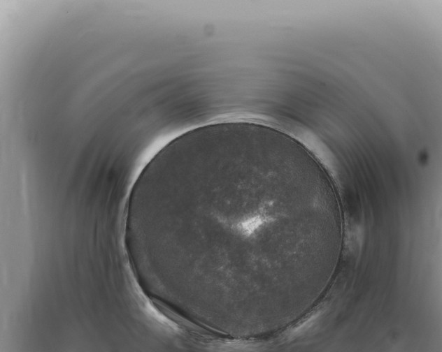 X0000090771102200707271522