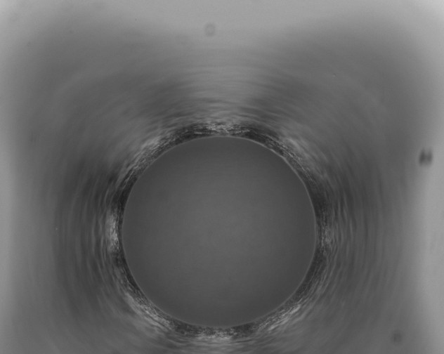 X0000090771106200707271521