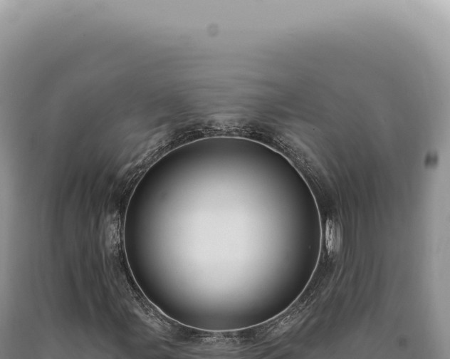 X0000090771107200707271521