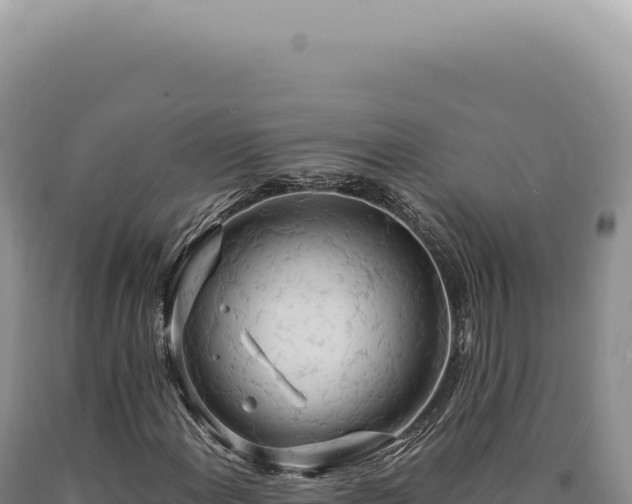 X0000090771108200707271521