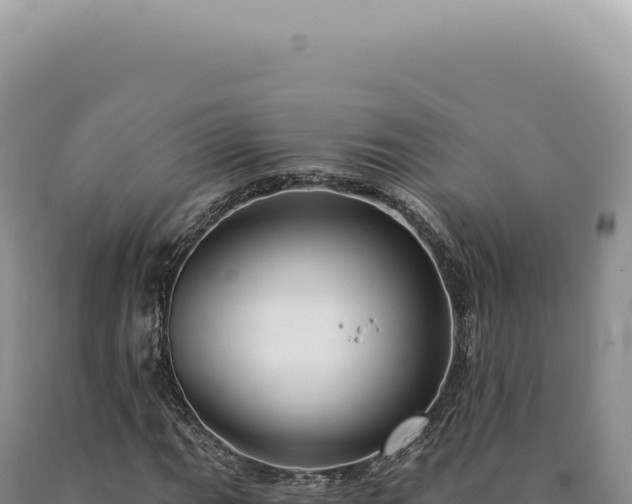 X0000090771111200707271521