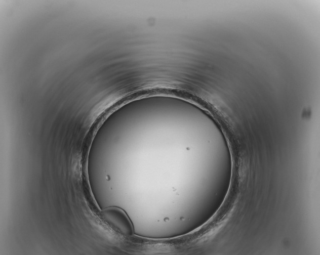 X0000090771113200707271521