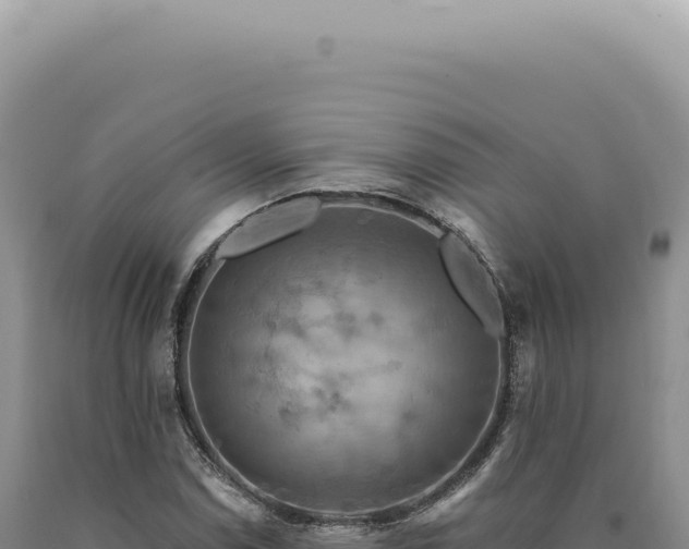 X0000090771114200707271521