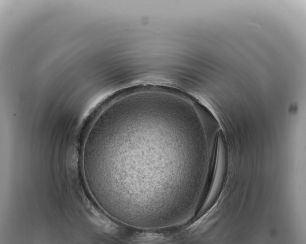X0000090771115200707271521