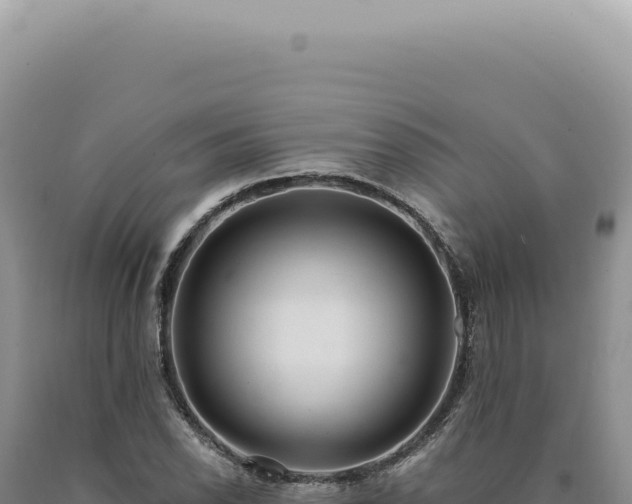 X0000090771118200707271521