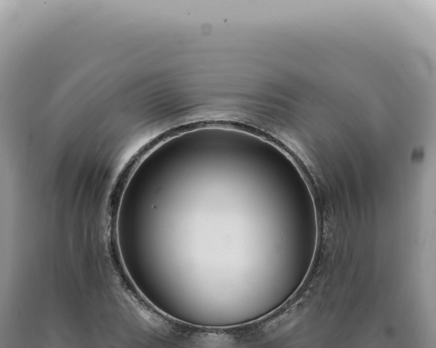 X0000090771119200707271521