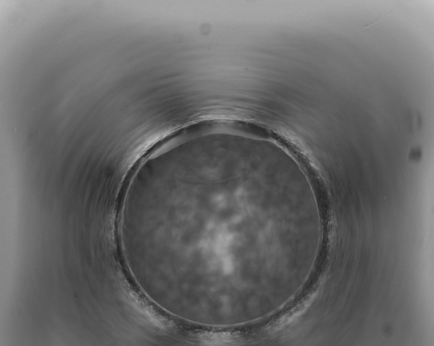 X0000090771121200707271521