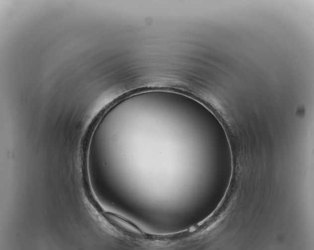 X0000090771122200707271521