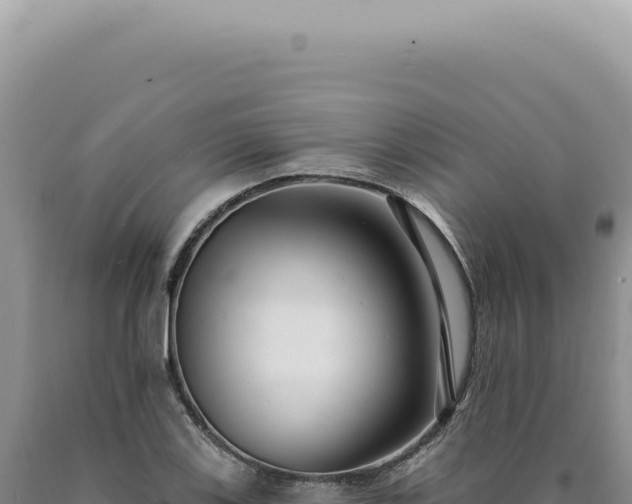 X0000090771123200707271521