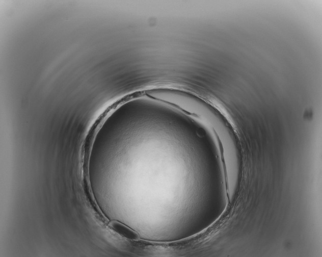 X0000090771124200707271521