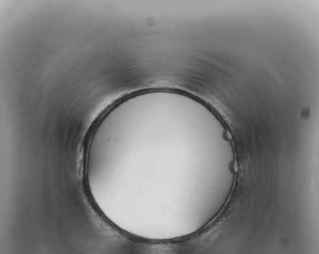X0000090771126200707271521