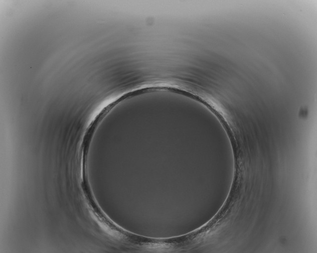 X0000090771127200707271521