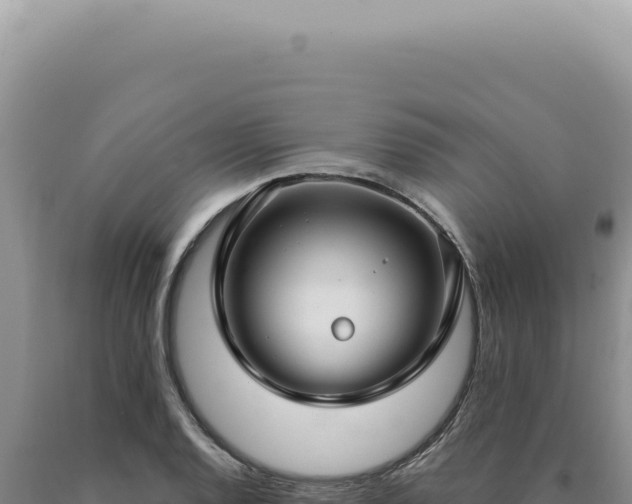 X0000090771128200707271521