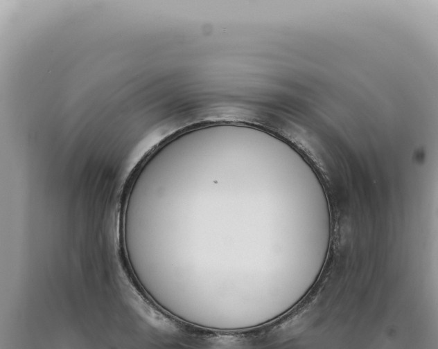 X0000090771130200707271521
