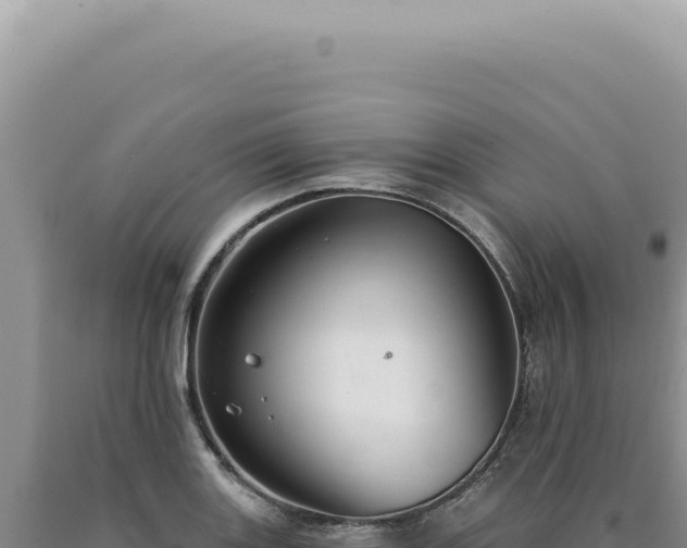 X0000090771131200707271521