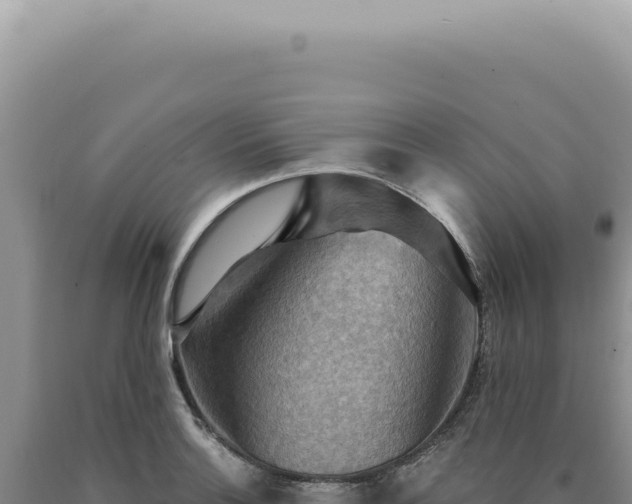 X0000090771132200707271521