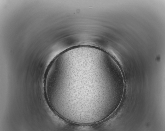 X0000090771133200707271521