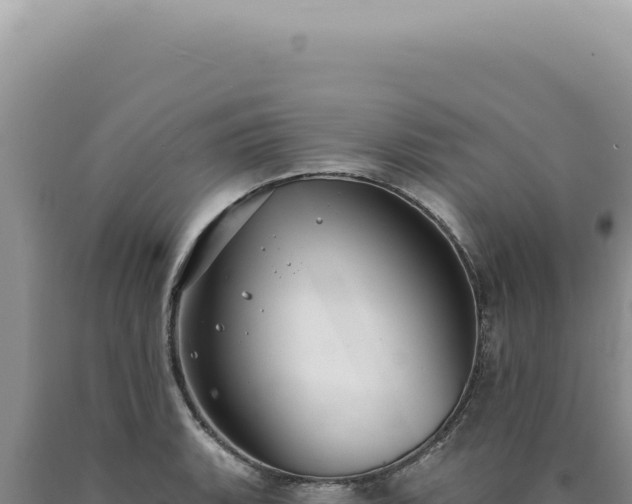 X0000090771135200707271522