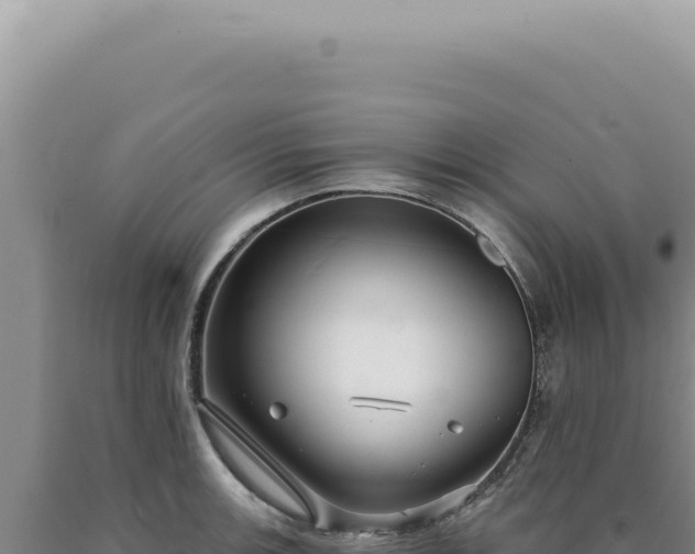 X0000090771139200707271522