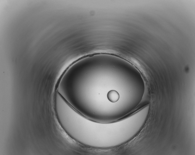 X0000090771140200707271522