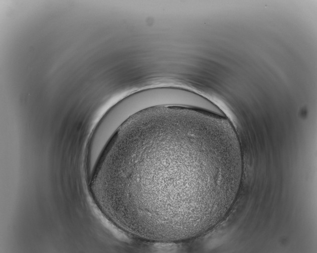 X0000090771142200707271522
