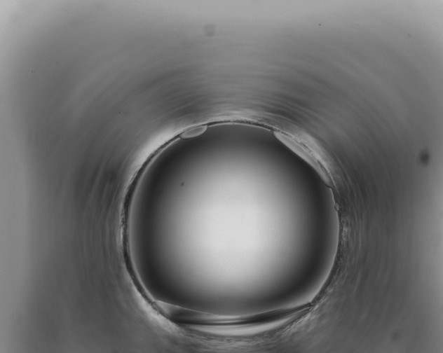 X0000090771143200707271522