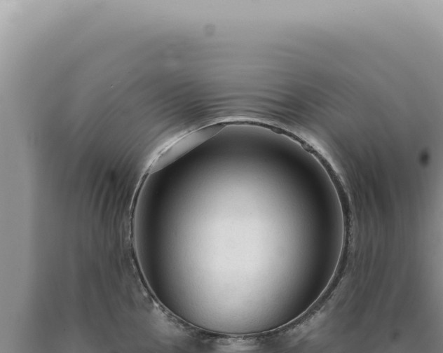 X0000090771145200707271522