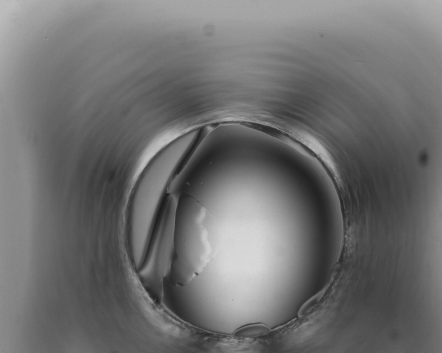X0000090771146200707271522