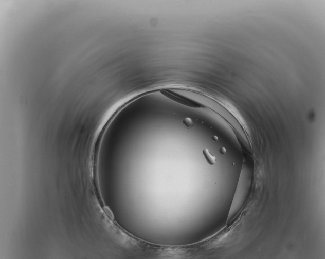 X0000090771148200707271522