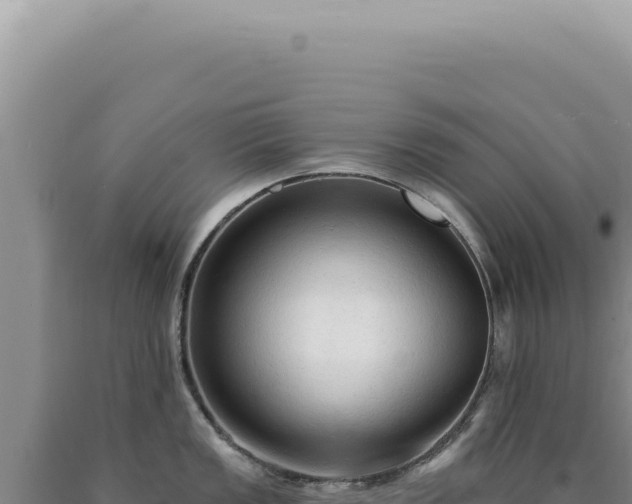 X0000090771149200707271522