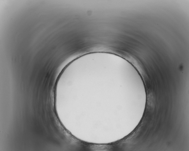 X0000090771150200707271522