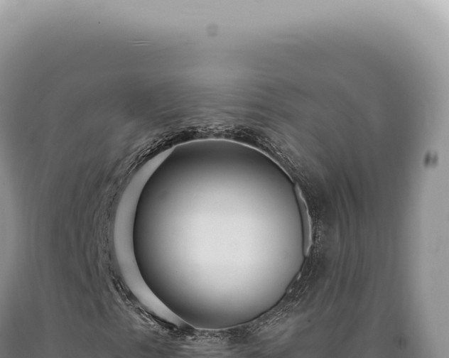 X0000090771153200707271521