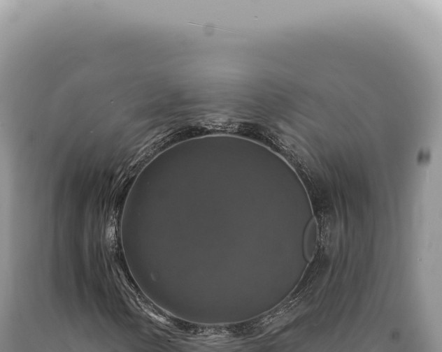 X0000090771154200707271521