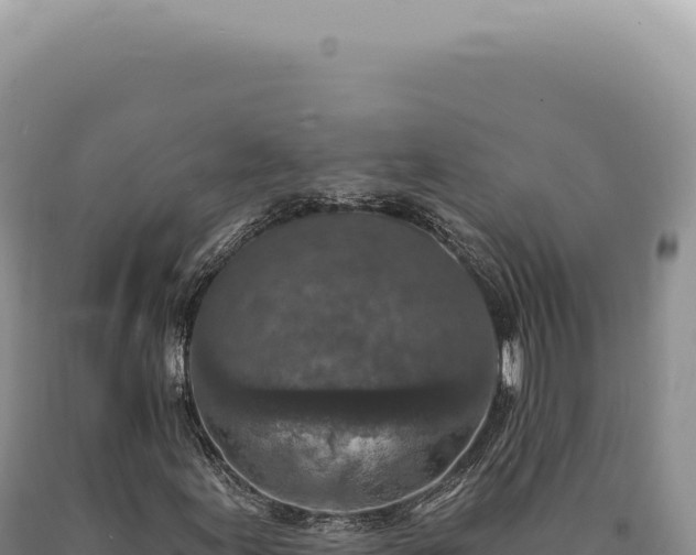 X0000090771155200707271521