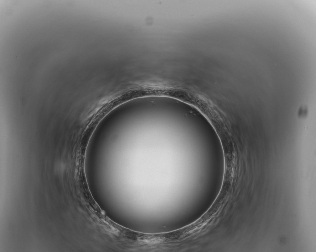 X0000090771157200707271521