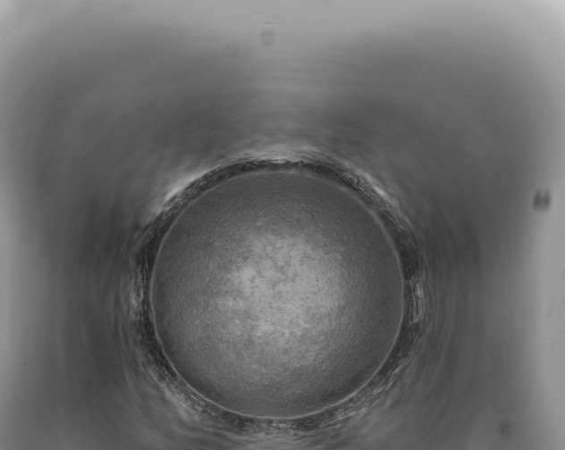 X0000090771158200707271521