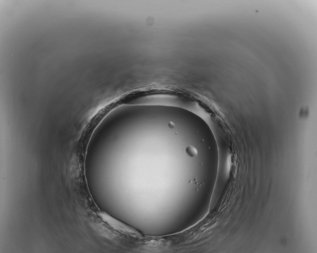 X0000090771160200707271521