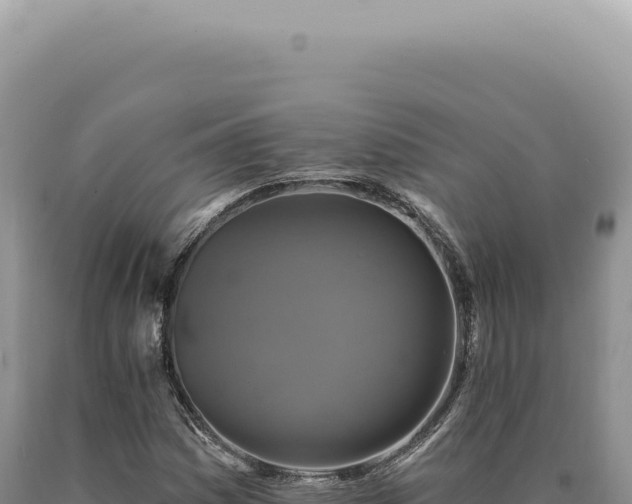 X0000090771161200707271521