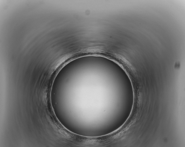 X0000090771162200707271521