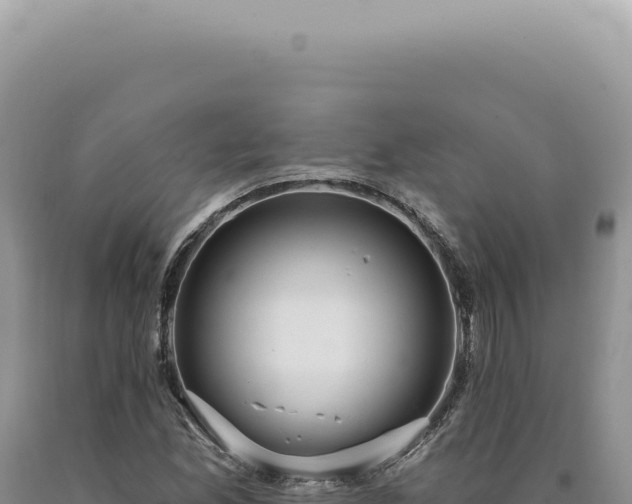 X0000090771165200707271521