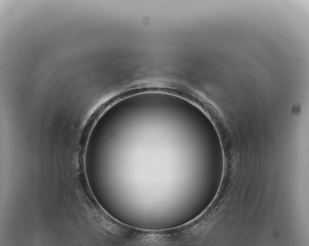 X0000090771166200707271521