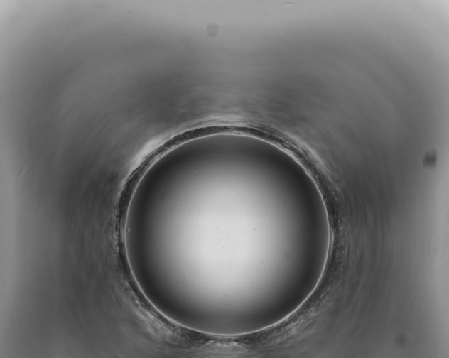 X0000090771168200707271521