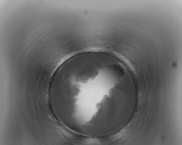 X0000090771170200707271521