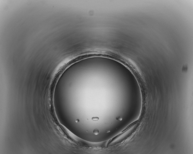 X0000090771172200707271521