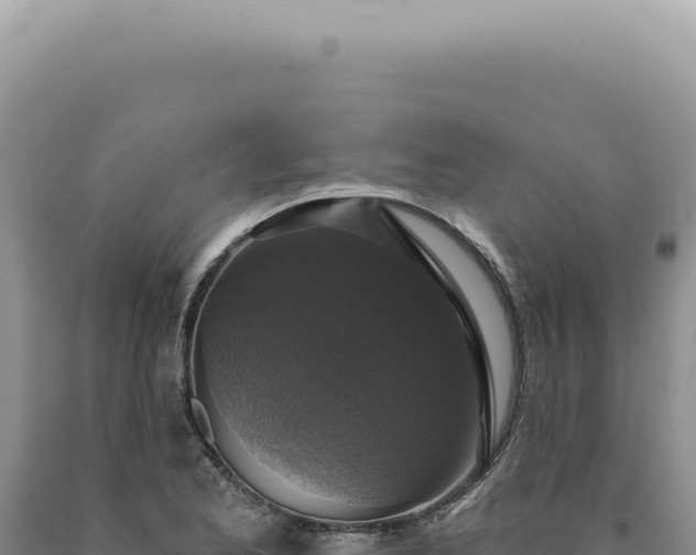 X0000090771173200707271521
